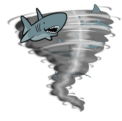 Lamnidaesharkgreat White Shark Png Clipart - Royalty Free Tornado Cartoon Shark