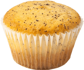 Png Background - Poppy Seed Muffin Png