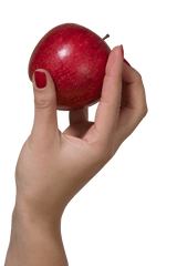 Download Holding An Apple - Hand Hold An Apple Hd Png Apple In Hand Png