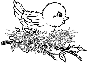 Banner Cartoon Birds Patterns Pinterest - Bird In The Nest Clipart Black And White Png