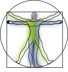 Vitruvian - Vitruvian Man Clipart Png