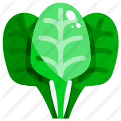 Spinach - Spinach Icon Png