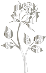 Plant Flora Rose Order Png Clipart - Silver Flower No Background