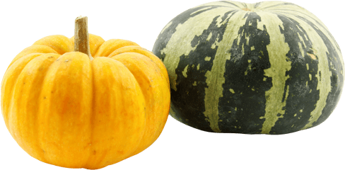 Download Pumpkins Png Image For Free - Pumpkin Images Hd Png