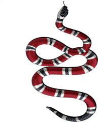 Snake Tattoo Transparent Background Png - Gucci Snake Logo Png