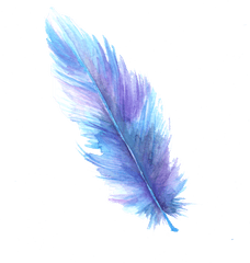 Feather Digital Art Watercolor Painting - Clip Art Transparent Background Feather Png