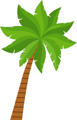 Palm Tree Clipart - Palm Tree Clipart Png