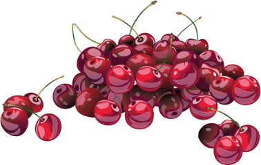 Cherries Png Image - Cherry Free Png