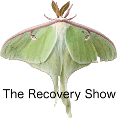 What Is Al - Anon U2013 Episode 10 The Recovery Show Png