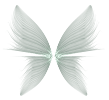 Wings Transparent Background - Free PNG