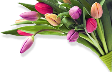 Wedding Flowers - Birthday Flower Images Png