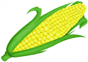 Corn On Cob Clip Art - Free PNG