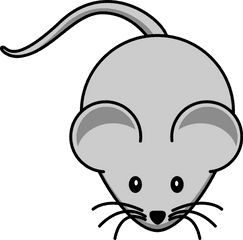 Mouse Clipart Transparent Png - Mouse Clipart Png