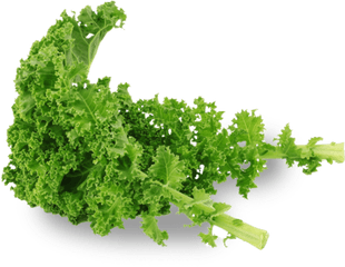 Free Png Kale Images Transparent - Kale Transparent Background