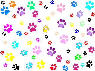 Download Hd Dog Print Clipart Png Cerca Con Google - Paw Prints Back Ground