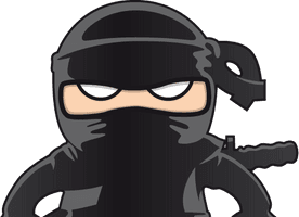Ninja Png Picture
