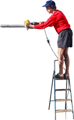 On A Ladder Cutting The Hedge Png Image - People Ladder Png