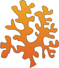 Seaweed Clipart - Drawing Of Red Algae Png