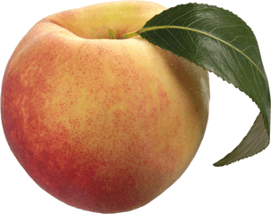 Peach Png Transparent Images - Peach Png