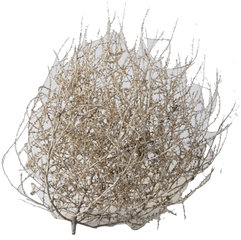 Dried Tumbleweed Small - Dried Tumbleweed Png