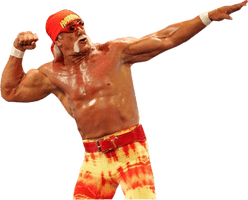 Hulk Hogan Transparent Image - Free PNG