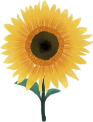 Download Free Png Aesthetic Sunflower Pic - Dlpngcom Engine Gear