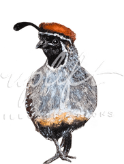 Uplift Illustrations - Quail Png