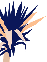 Yucca Cane - Illustration Png
