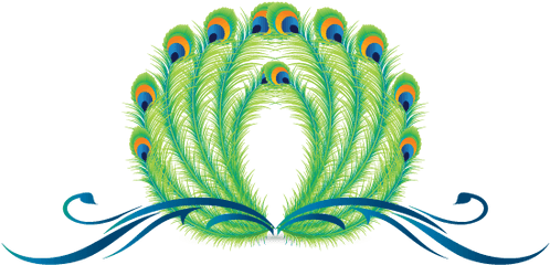 Peafowl Peacock Logo Design Ideas Png Feathers