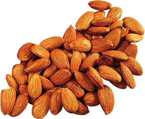 Apricot Kernel Almond Oil Food Png