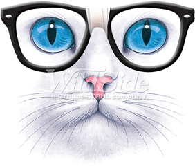 Download Hd Blue Eyed Cat With Nerd Glasses - Cat With Cat Face Glasses Png