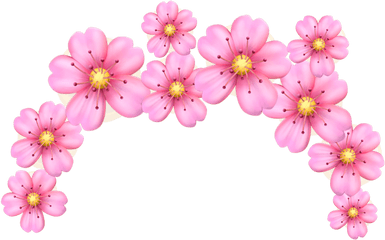 Download Pink Flower Crown Emoji Pinkfloweremojicrown - Flower Crowns Emoji Png
