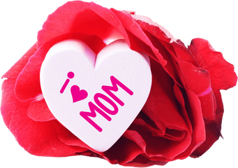 Free I Love Mom Heart And A Rose Png Image - Happy Birthday My Mother