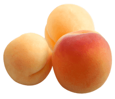 Apricot Up Close PNG Free Photo