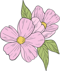 Pink Flowers Clipart Free Download Transparent Png Creazilla - Flowers Clipart