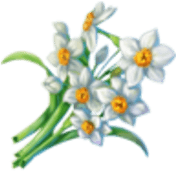 Daffodils Dreamfields Wiki Fandom - Lovely Png