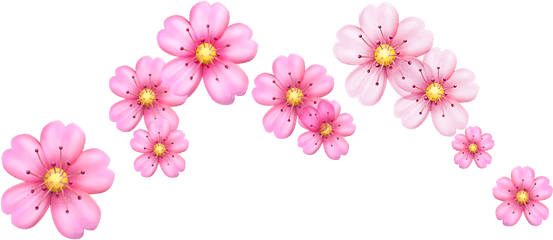 Cherry Blossom Flowers Emoji Png Image - Flower Emoji Crown Png