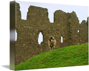 Ram And Castle Wall Wales United Kingdom By Rich Delmastro - Ruins Png