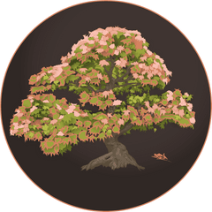 Bonsai - Bonsai Png