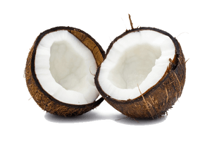 Coconut Free Png Image