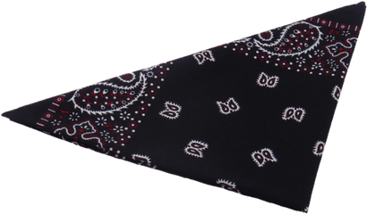 Bandana Paisley Black White - Broadcloth Png