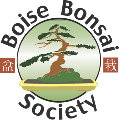 Bonsai Tree Png - Ancient Asian Culture Bonsai