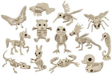 Seasons Usa Incu0027s Crazy Bonez Skeletons - Costumers Today Carving Png