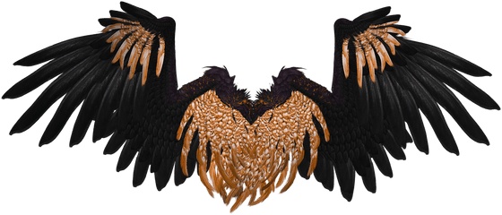 Crow Wings Png Transparent - Black Angel Wings Art