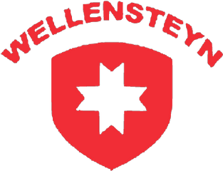 Wellensteyn Logo - Decals By Marcc5r Community Gran Vertical Png