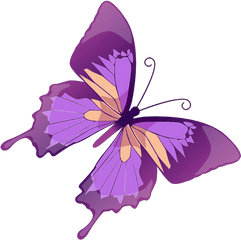 Drawing Spring Butterfly Transparent - Clipart Purple Butterfly Png