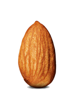 Photos Nut Almond Download HD - Free PNG