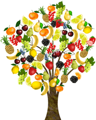Fruit Tree Health - Transparent Background Fruit Tree Clipart Png