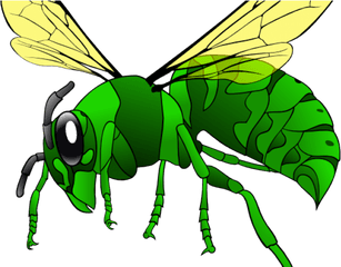 Hornet Clipart Sad - Hornet Svg Png