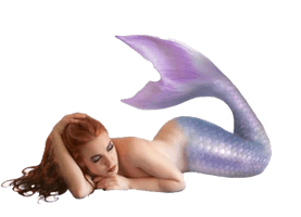 Mermaid Png